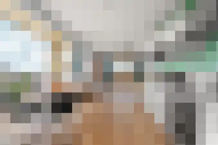 Dikkeboomweg 60 Nijmegen thumbnail 18