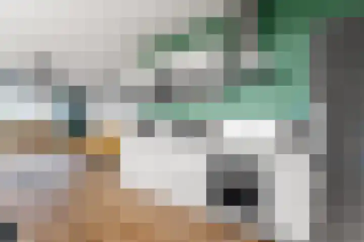 Dikkeboomweg 60 Nijmegen thumbnail 19