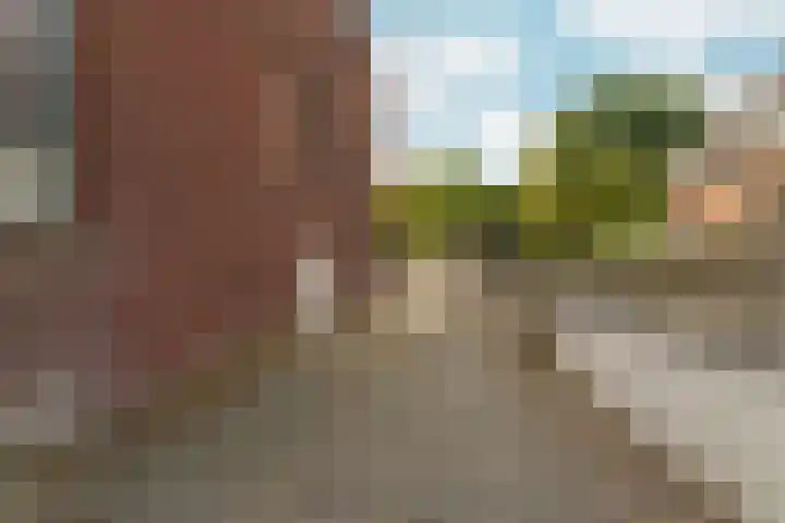 Dikkeboomweg 60 Nijmegen thumbnail 36