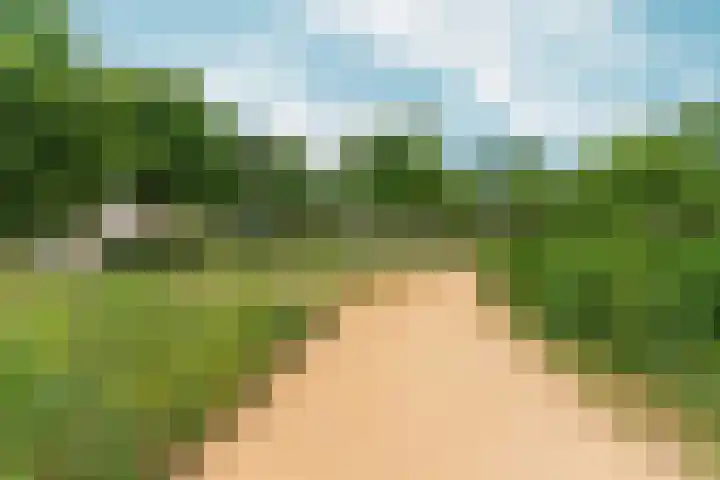 Dikkeboomweg 60 Nijmegen thumbnail 39