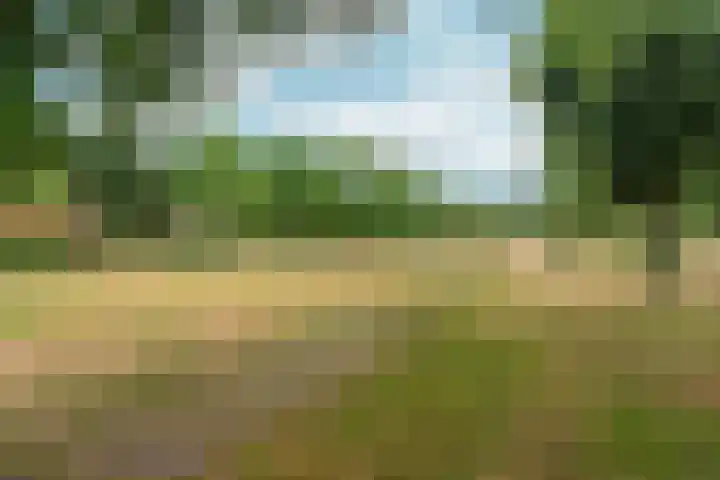 Dikkeboomweg 60 Nijmegen thumbnail 40