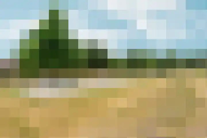 Dikkeboomweg 60 Nijmegen thumbnail 41