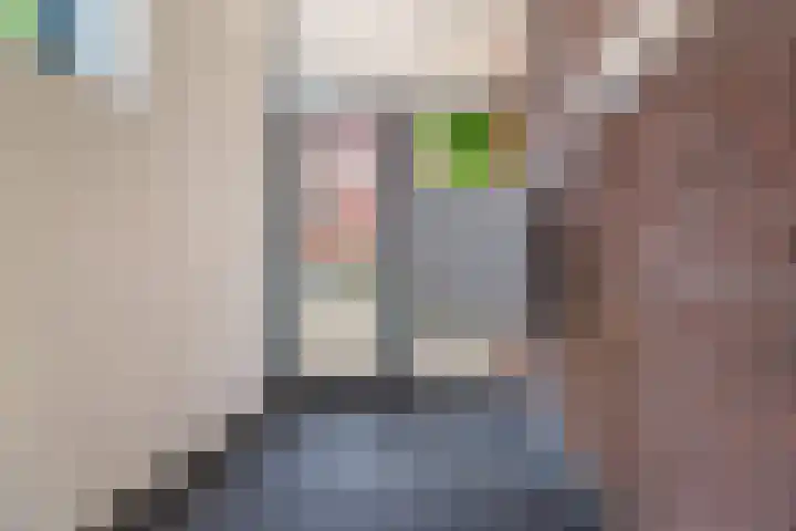 Dikkeboomweg 60 Nijmegen thumbnail 45