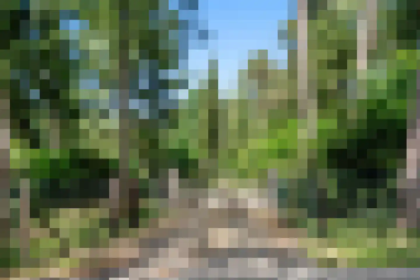 Dikkenbergweg 23 A Bennekom thumbnail 15