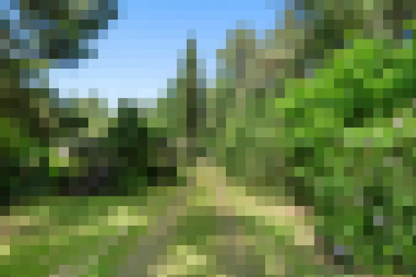 Dikkenbergweg 23 A Bennekom thumbnail 16