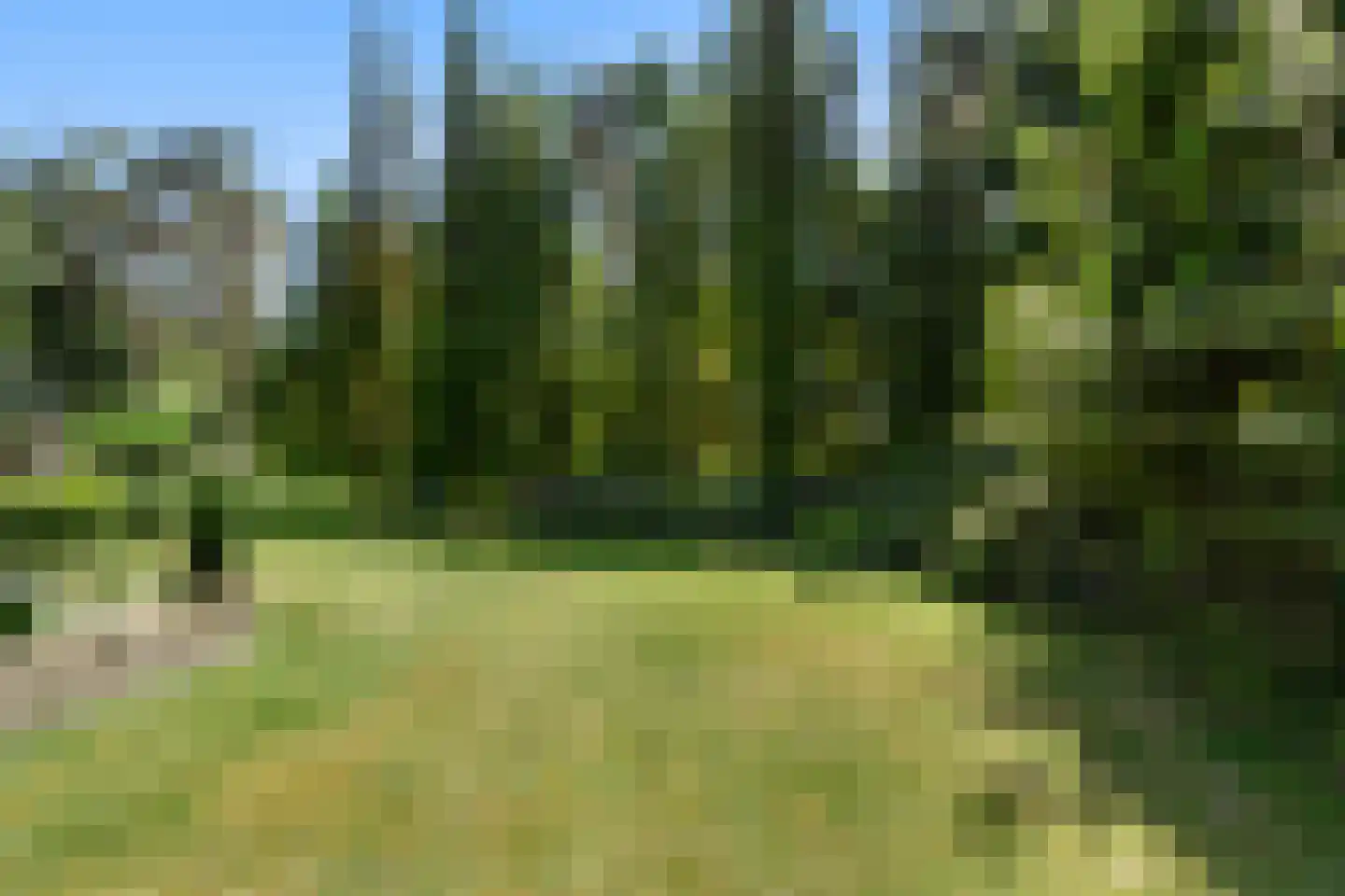 Dikkenbergweg 23 A Bennekom thumbnail 22