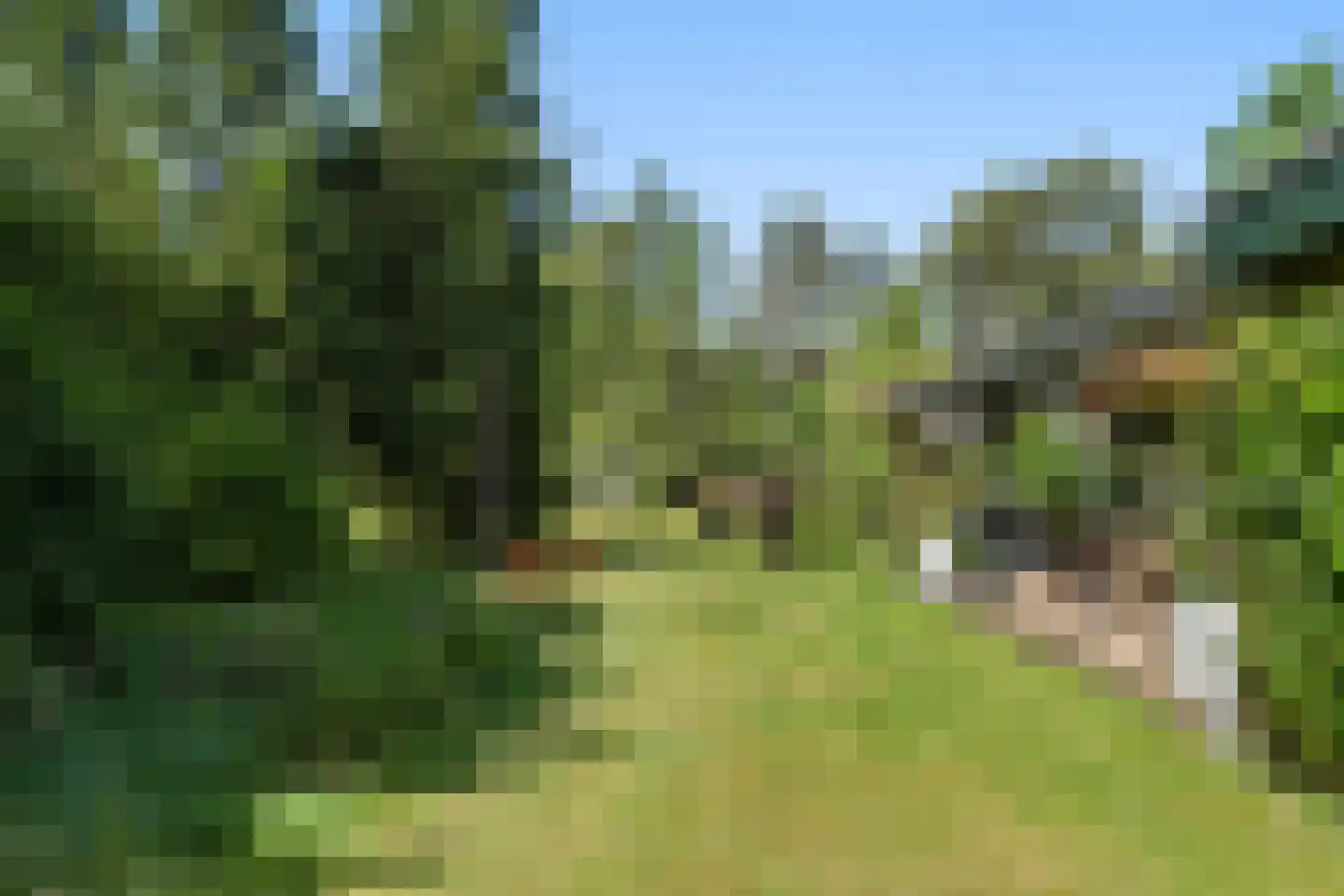 Dikkenbergweg 23 A Bennekom thumbnail 25