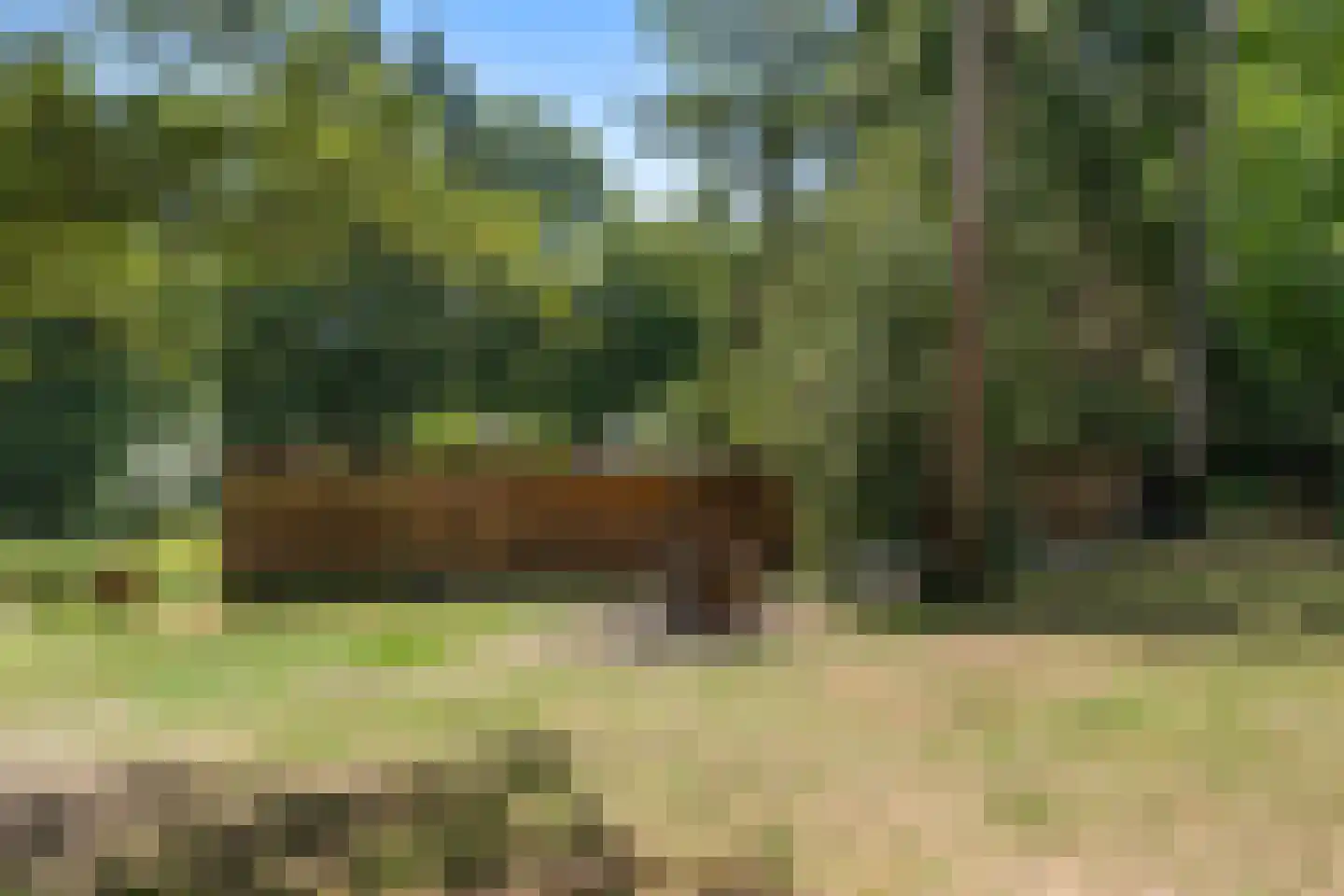 Dikkenbergweg 23 A Bennekom thumbnail 29