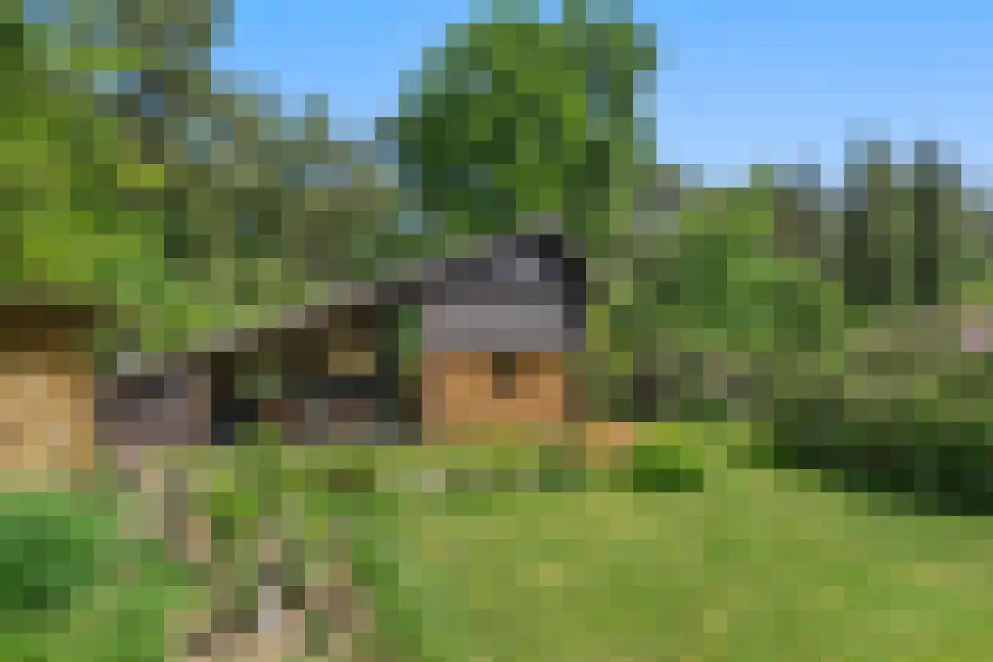 Dikkenbergweg 23 A Bennekom thumbnail 32