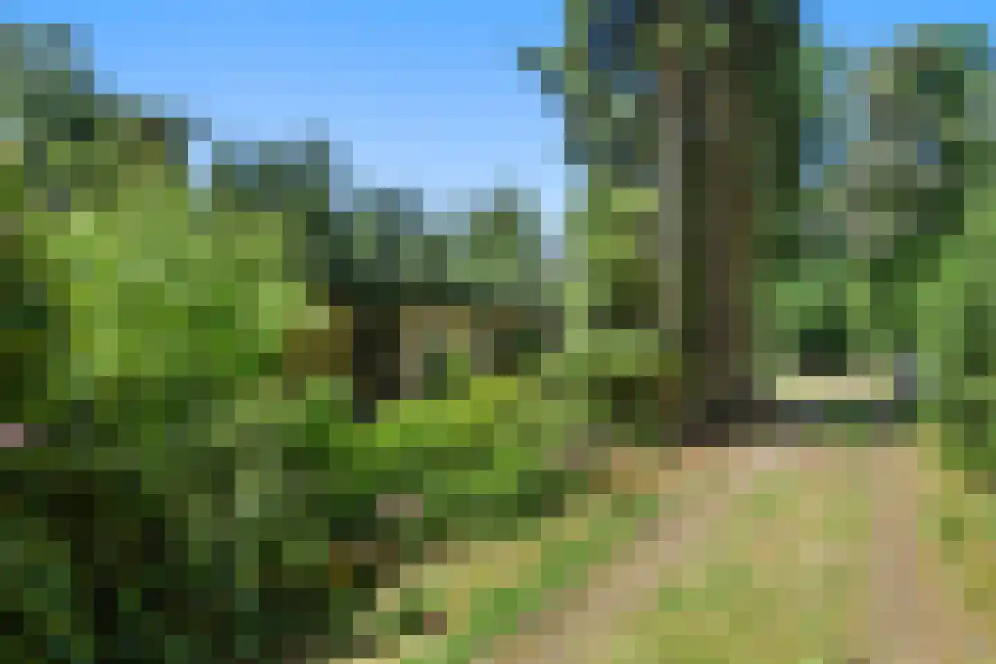 Dikkenbergweg 23 A Bennekom thumbnail 8