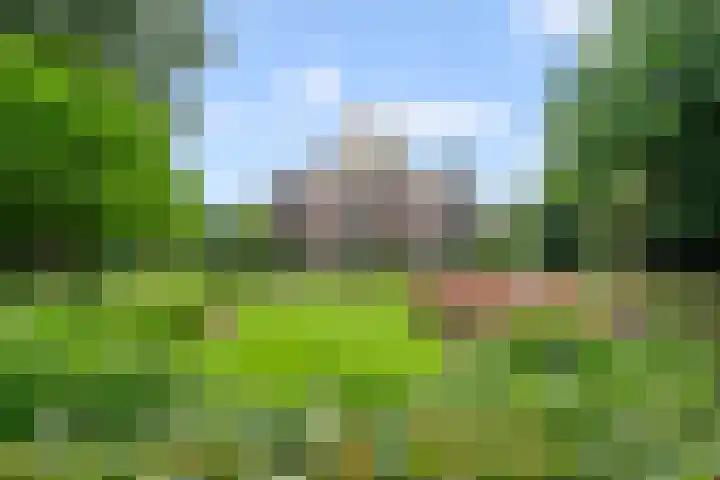 Dikkenbergweg 28 7 Bennekom thumbnail 41