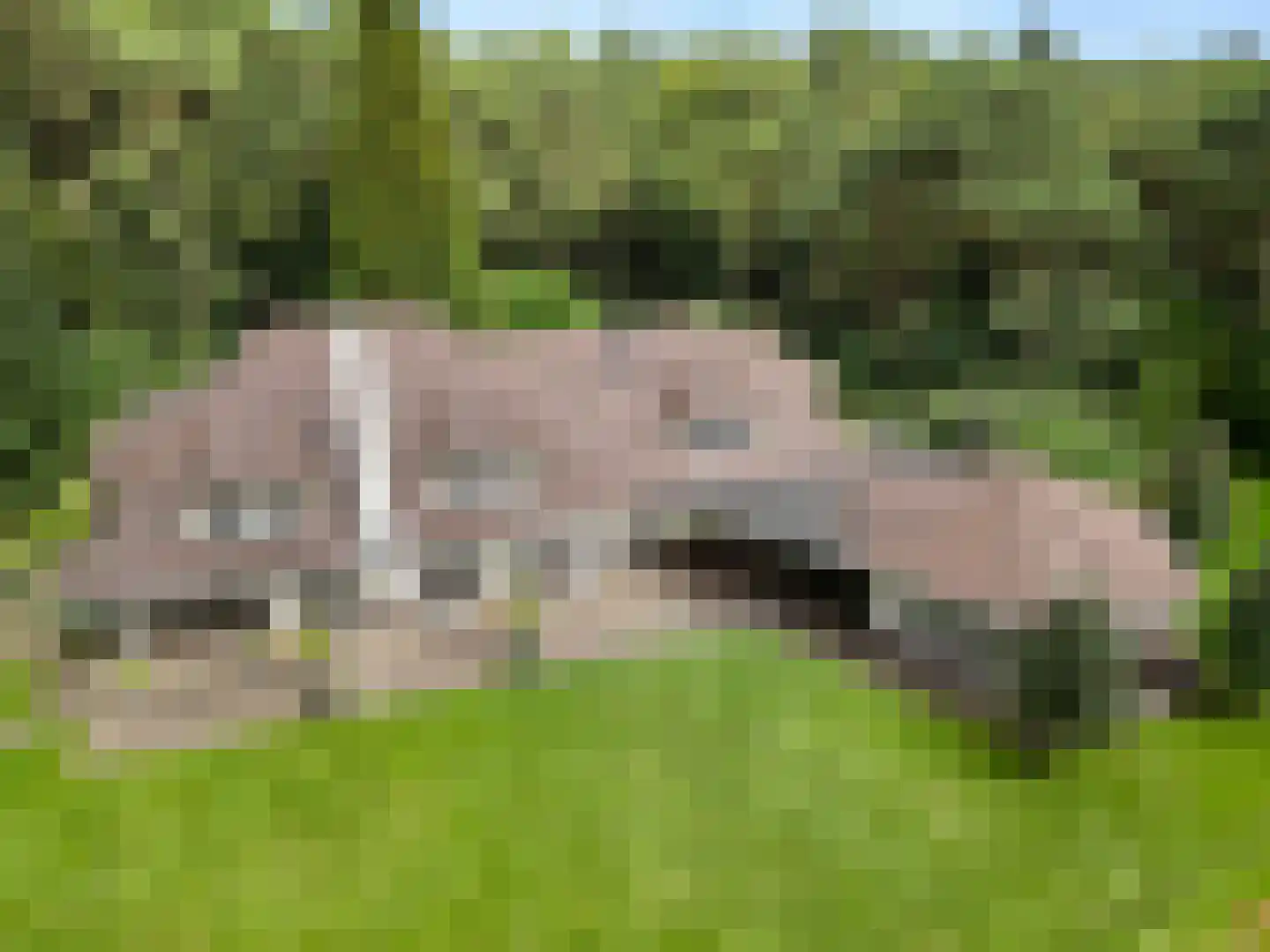 Dikkenbergweg 64 Bennekom thumbnail 10