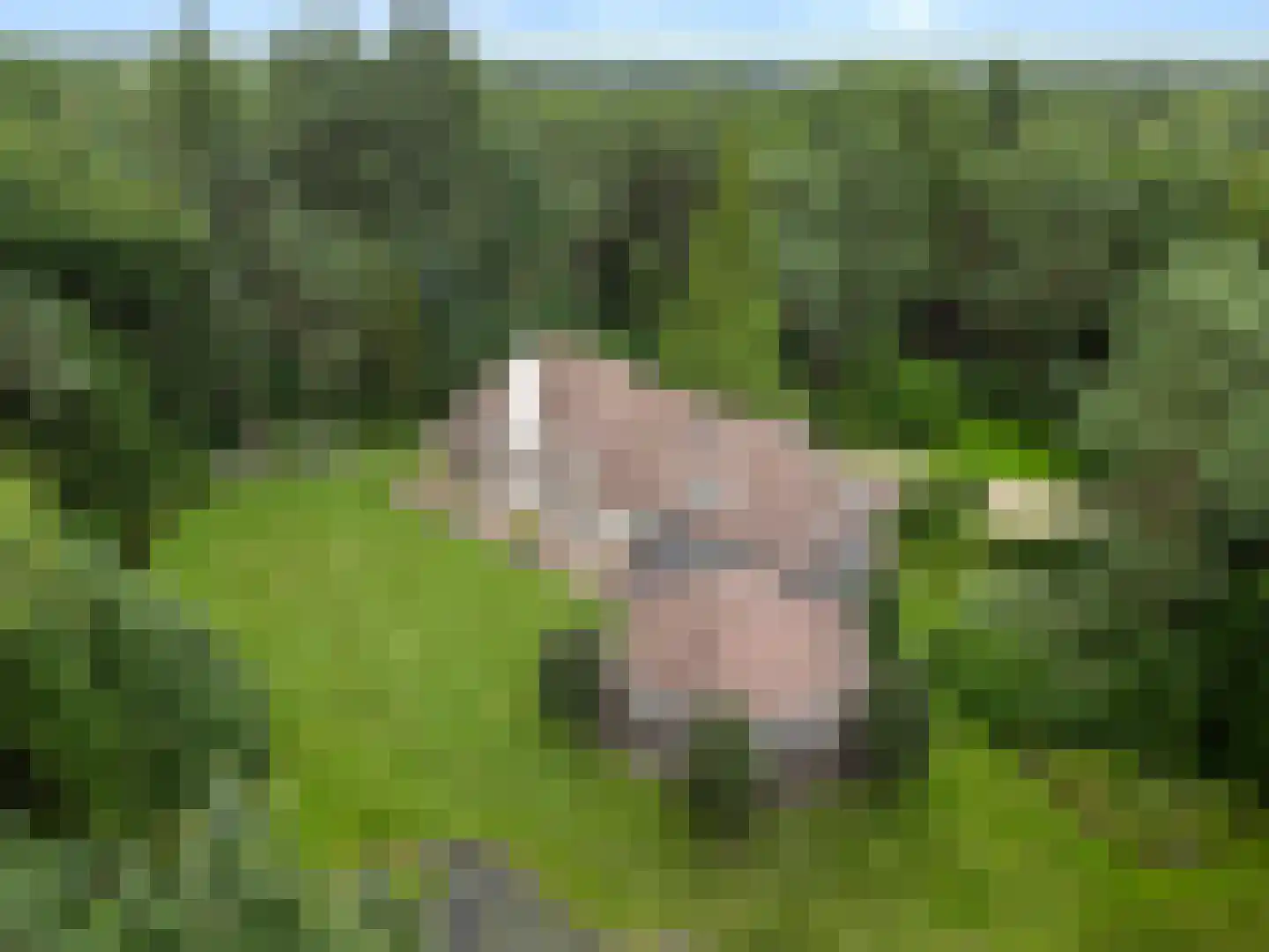 Dikkenbergweg 64 Bennekom thumbnail 11