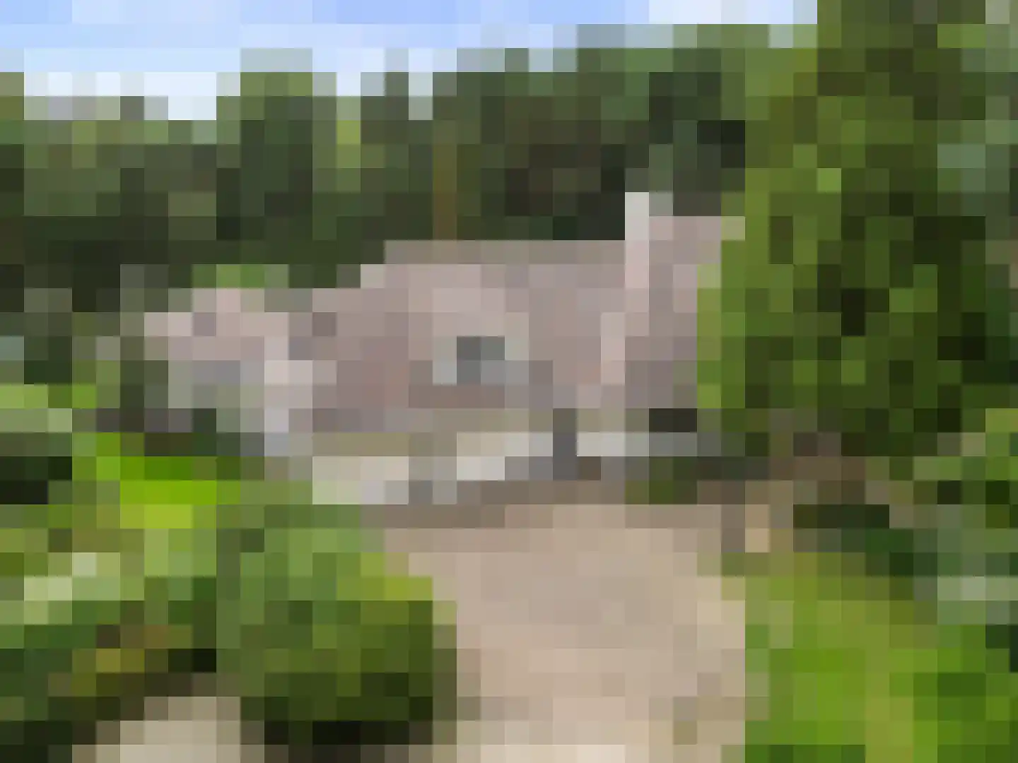 Dikkenbergweg 64 Bennekom thumbnail 12