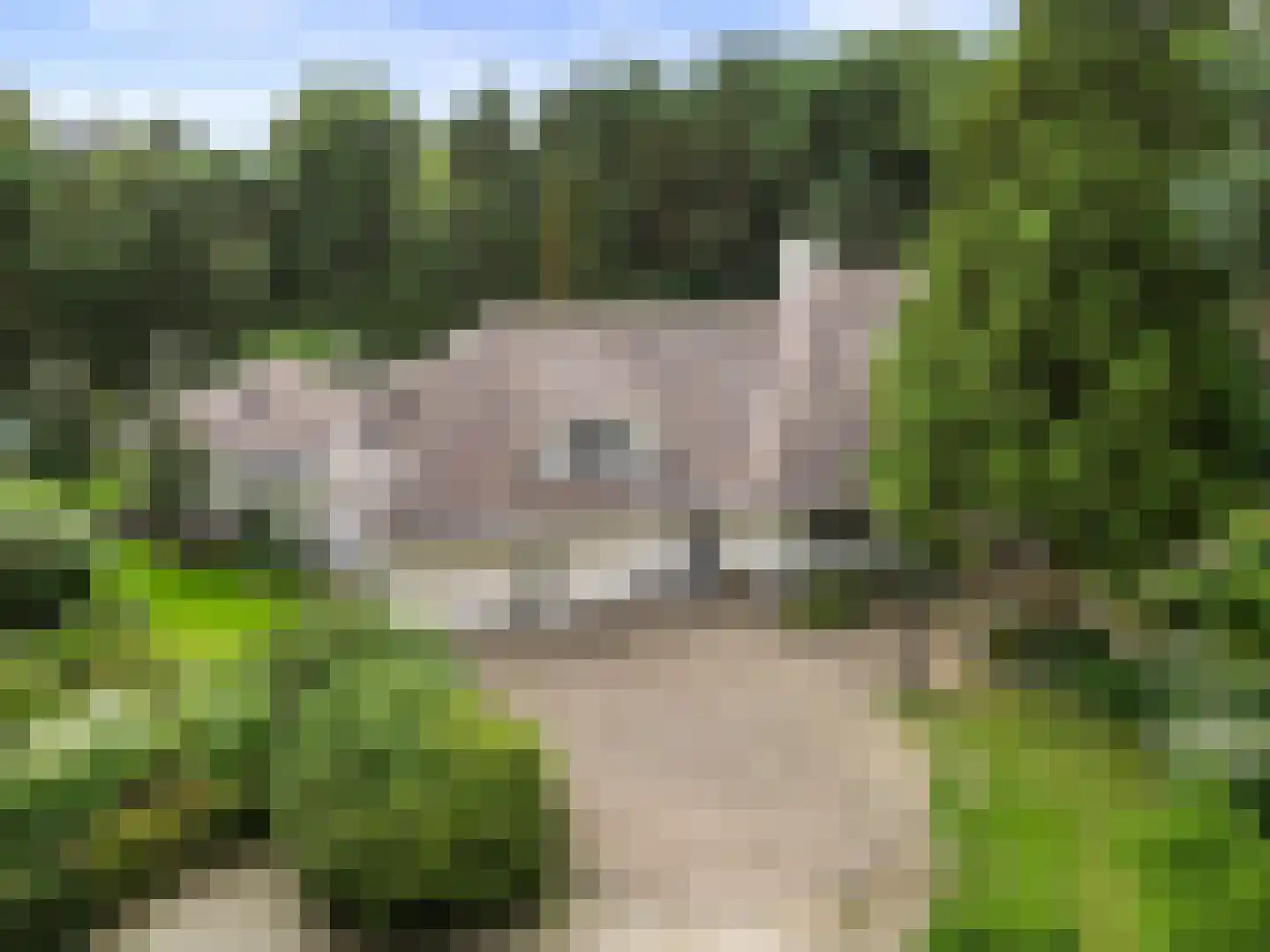 Dikkenbergweg 64 Bennekom thumbnail 12