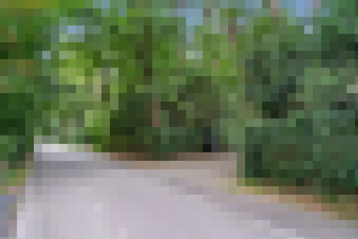 Dikkenbergweg 64 Bennekom thumbnail 13