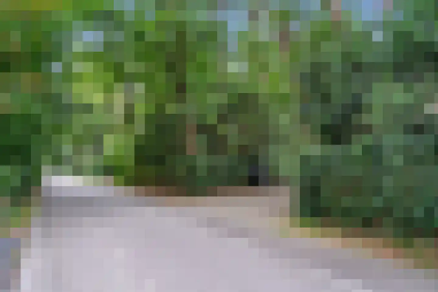 Dikkenbergweg 64 Bennekom thumbnail 13
