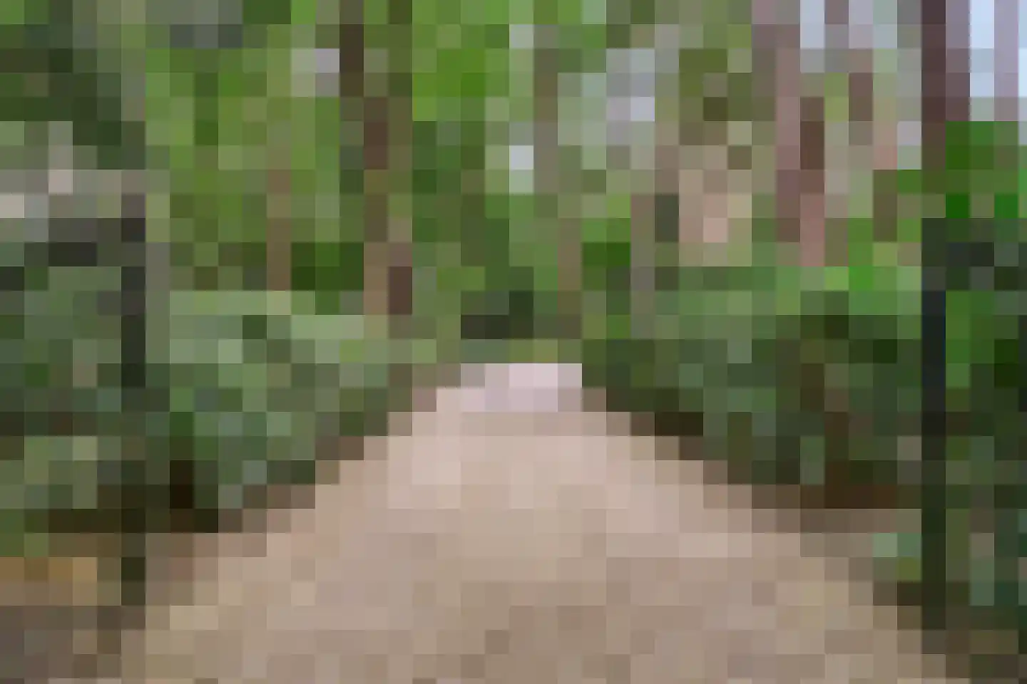 Dikkenbergweg 64 Bennekom thumbnail 15