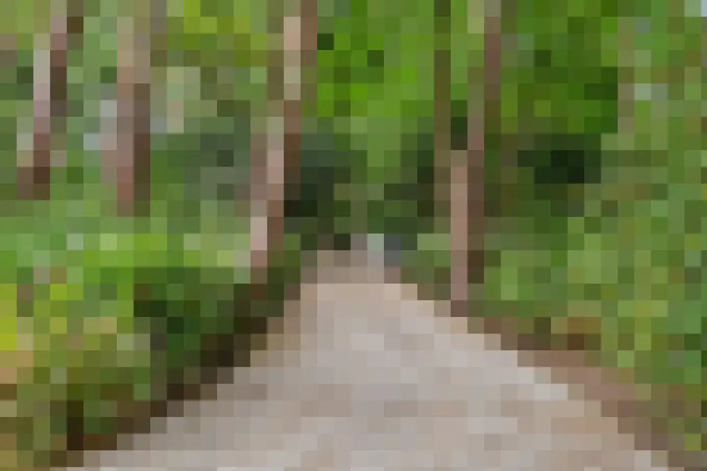 Dikkenbergweg 64 Bennekom thumbnail 16