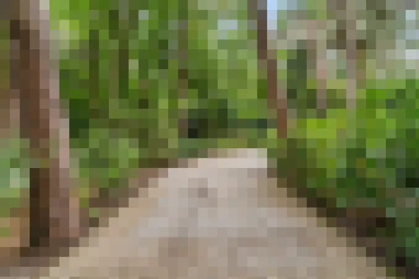 Dikkenbergweg 64 Bennekom thumbnail 17