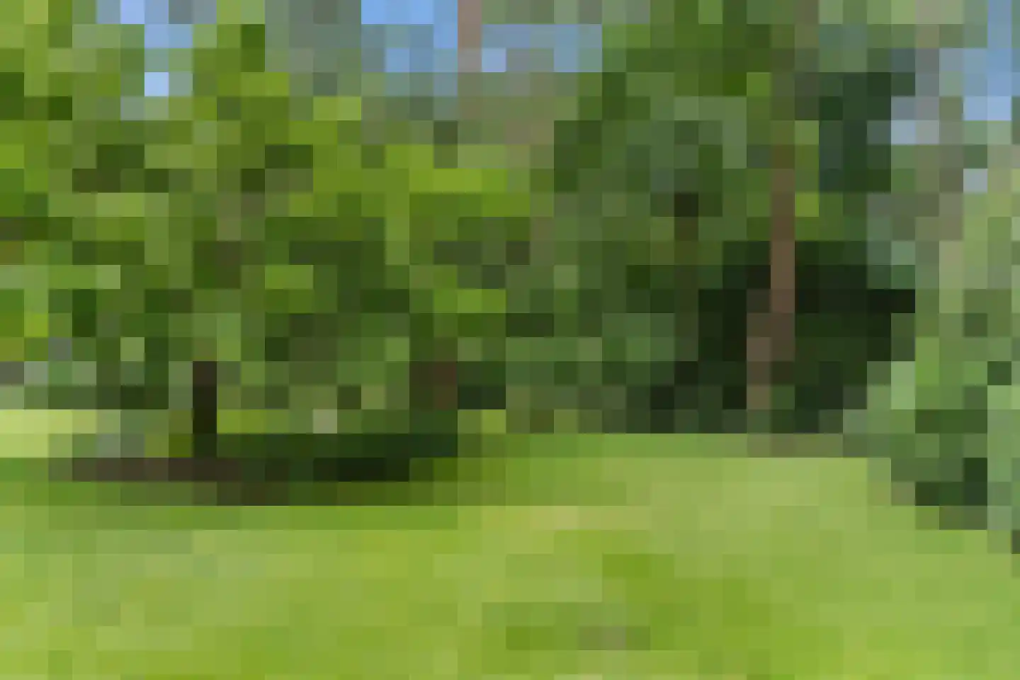 Dikkenbergweg 64 Bennekom thumbnail 20