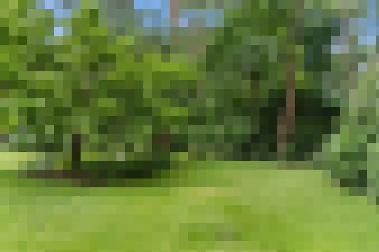 Dikkenbergweg 64 Bennekom thumbnail 20