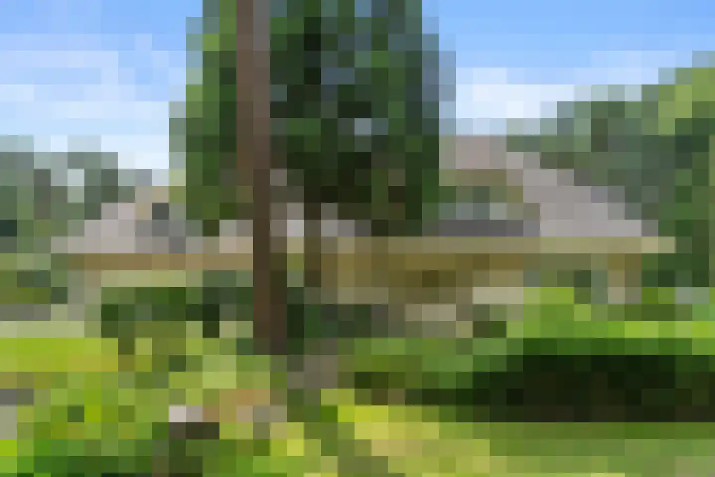 Dikkenbergweg 64 Bennekom thumbnail 22
