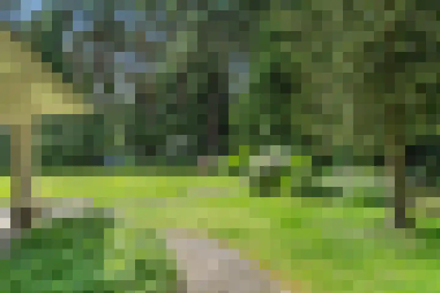 Dikkenbergweg 64 Bennekom thumbnail 23