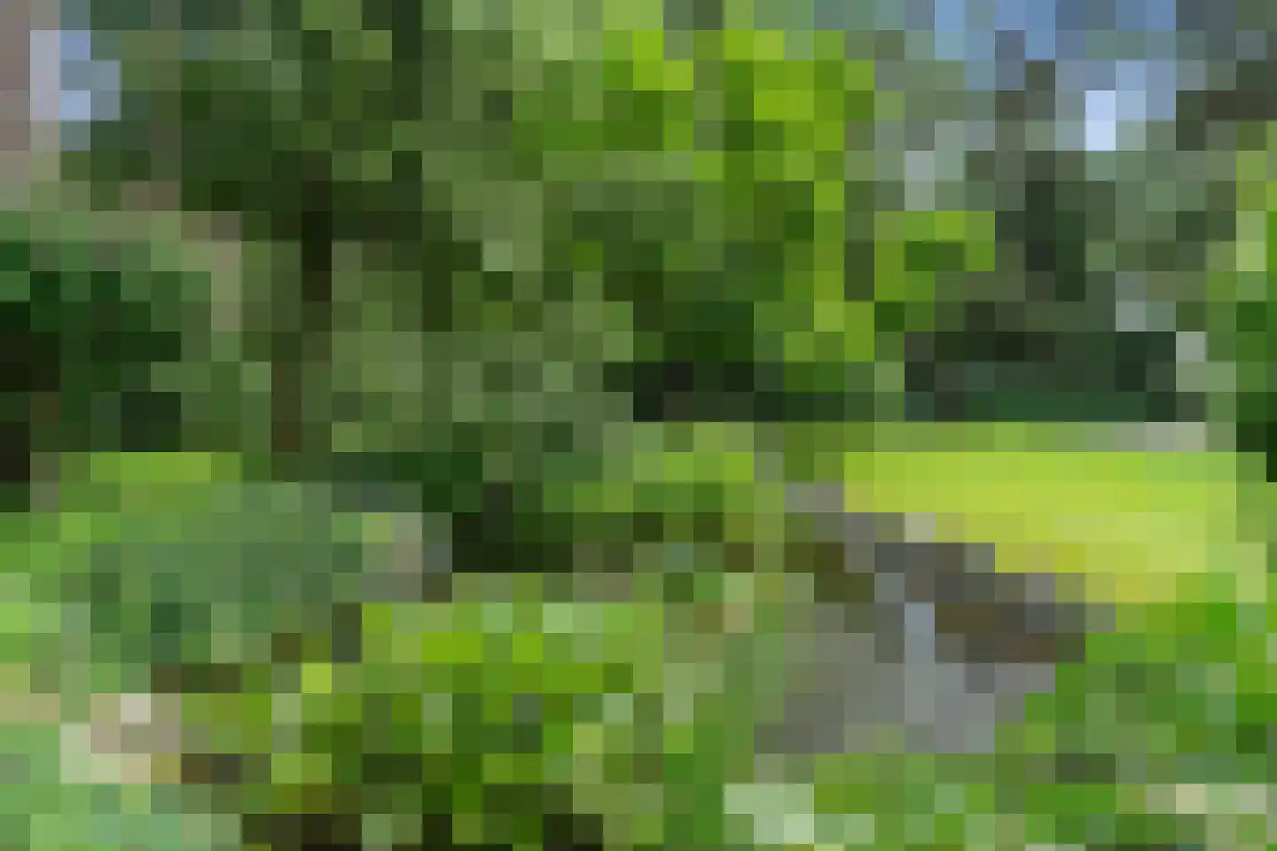 Dikkenbergweg 64 Bennekom thumbnail 24
