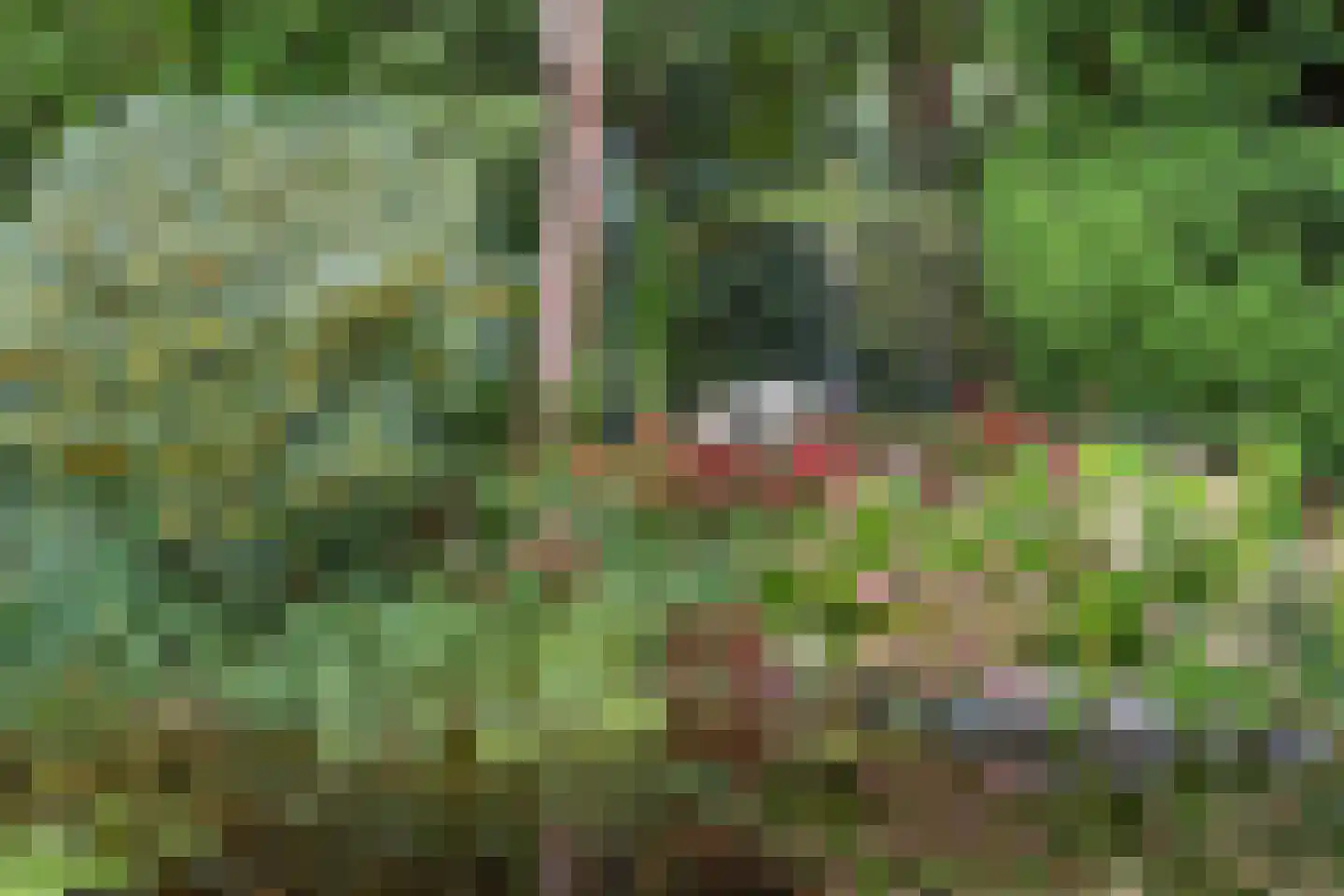 Dikkenbergweg 64 Bennekom thumbnail 27