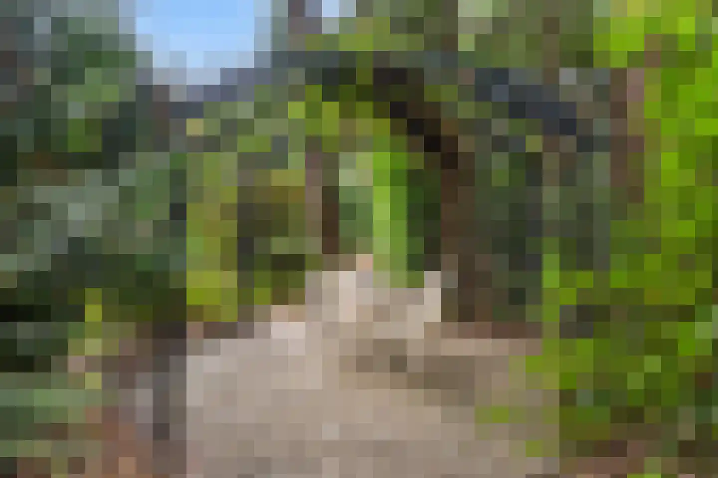 Dikkenbergweg 64 Bennekom thumbnail 29