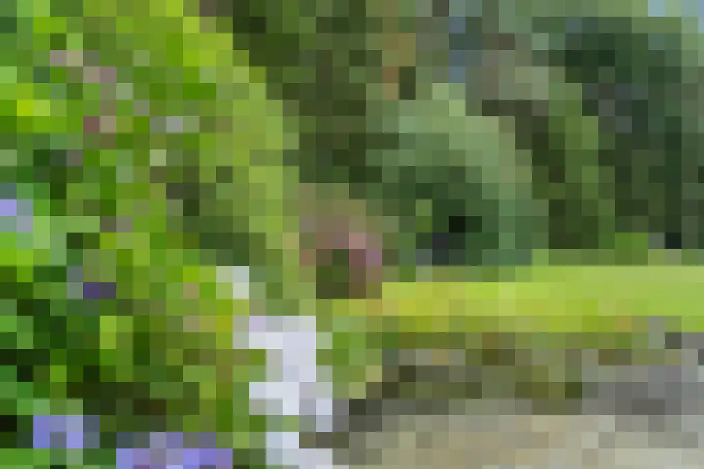 Dikkenbergweg 64 Bennekom thumbnail 30