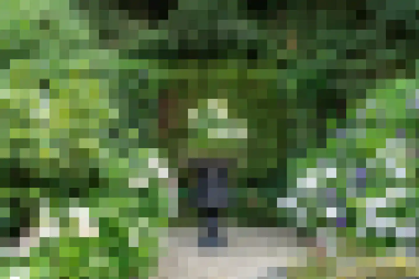 Dikkenbergweg 64 Bennekom thumbnail 31