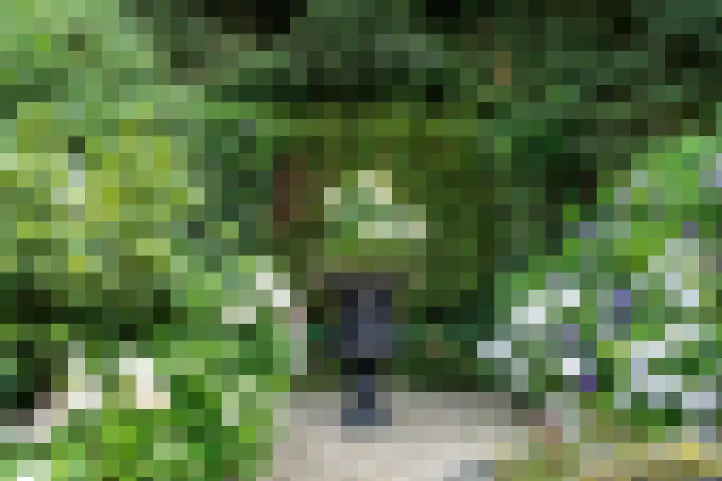 Dikkenbergweg 64 Bennekom thumbnail 31