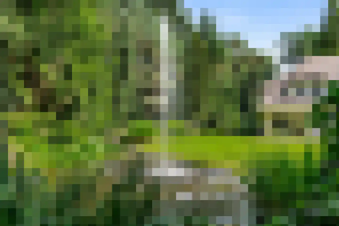 Dikkenbergweg 64 Bennekom thumbnail 34