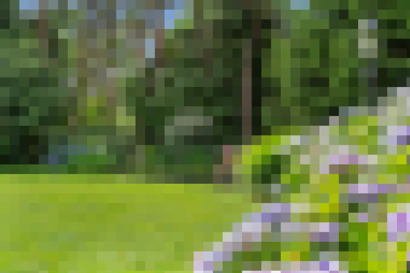 Dikkenbergweg 64 Bennekom thumbnail 35