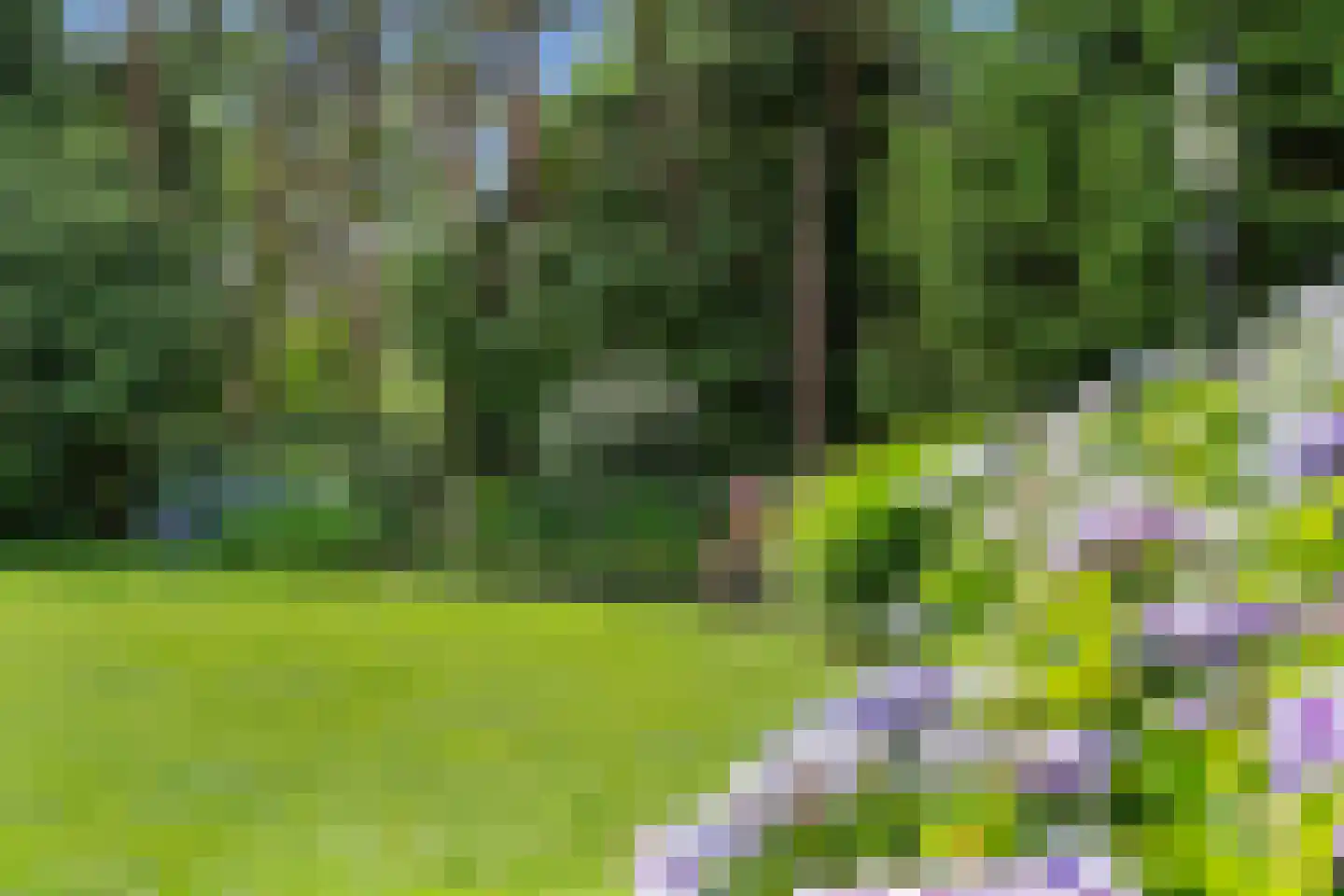 Dikkenbergweg 64 Bennekom thumbnail 35