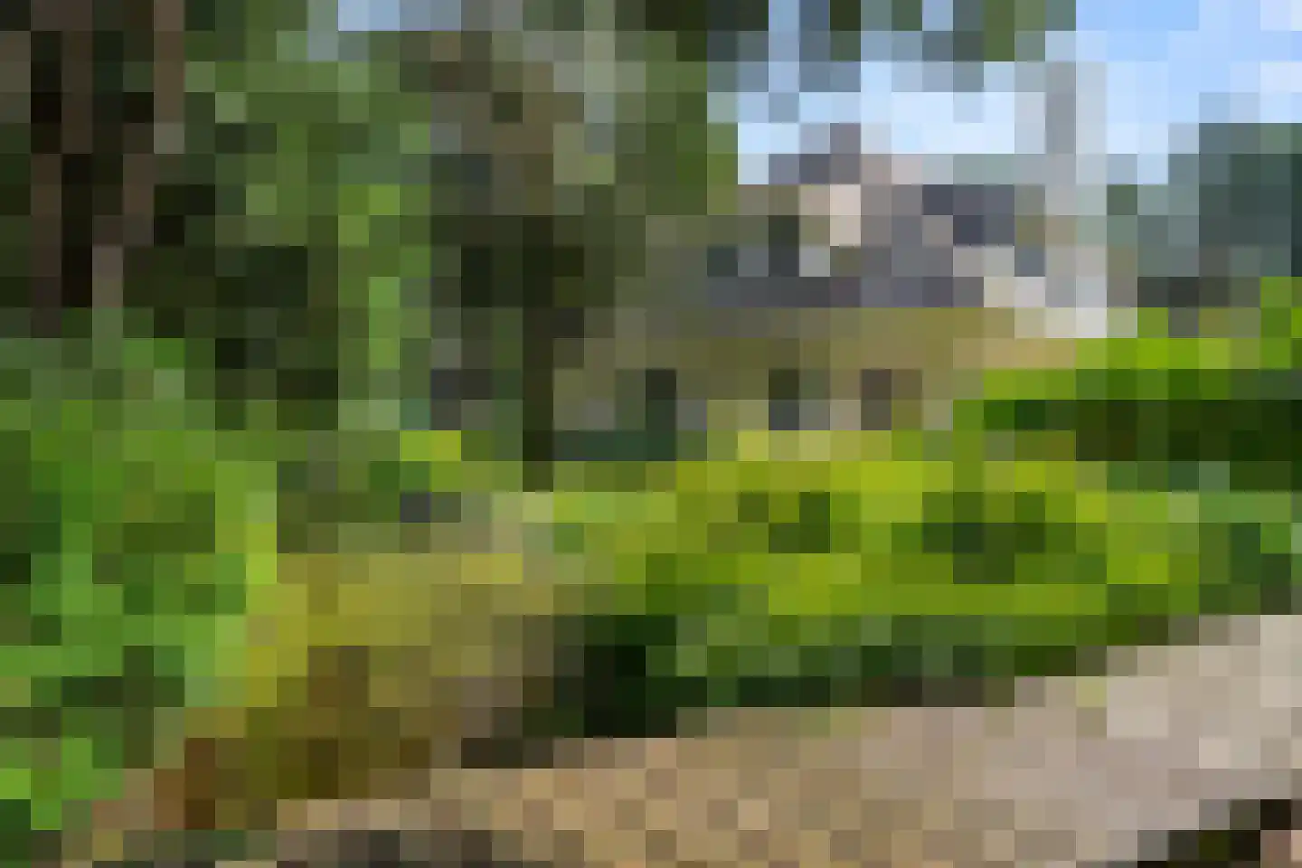 Dikkenbergweg 64 Bennekom thumbnail 39
