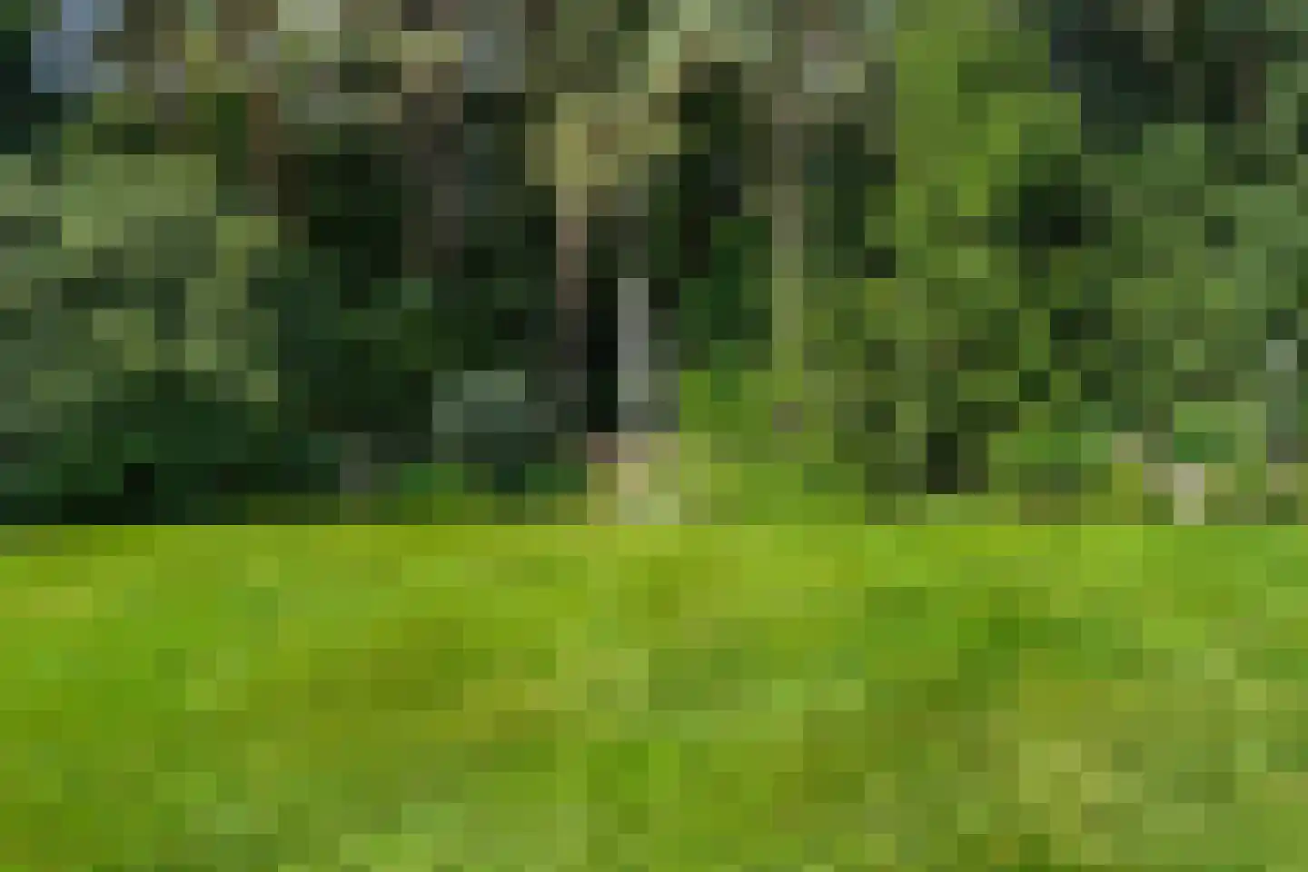 Dikkenbergweg 64 Bennekom thumbnail 4