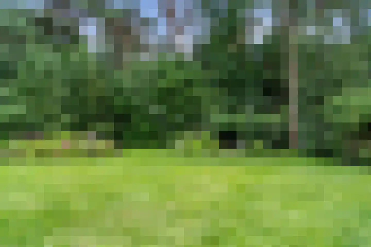 Dikkenbergweg 64 Bennekom thumbnail 41