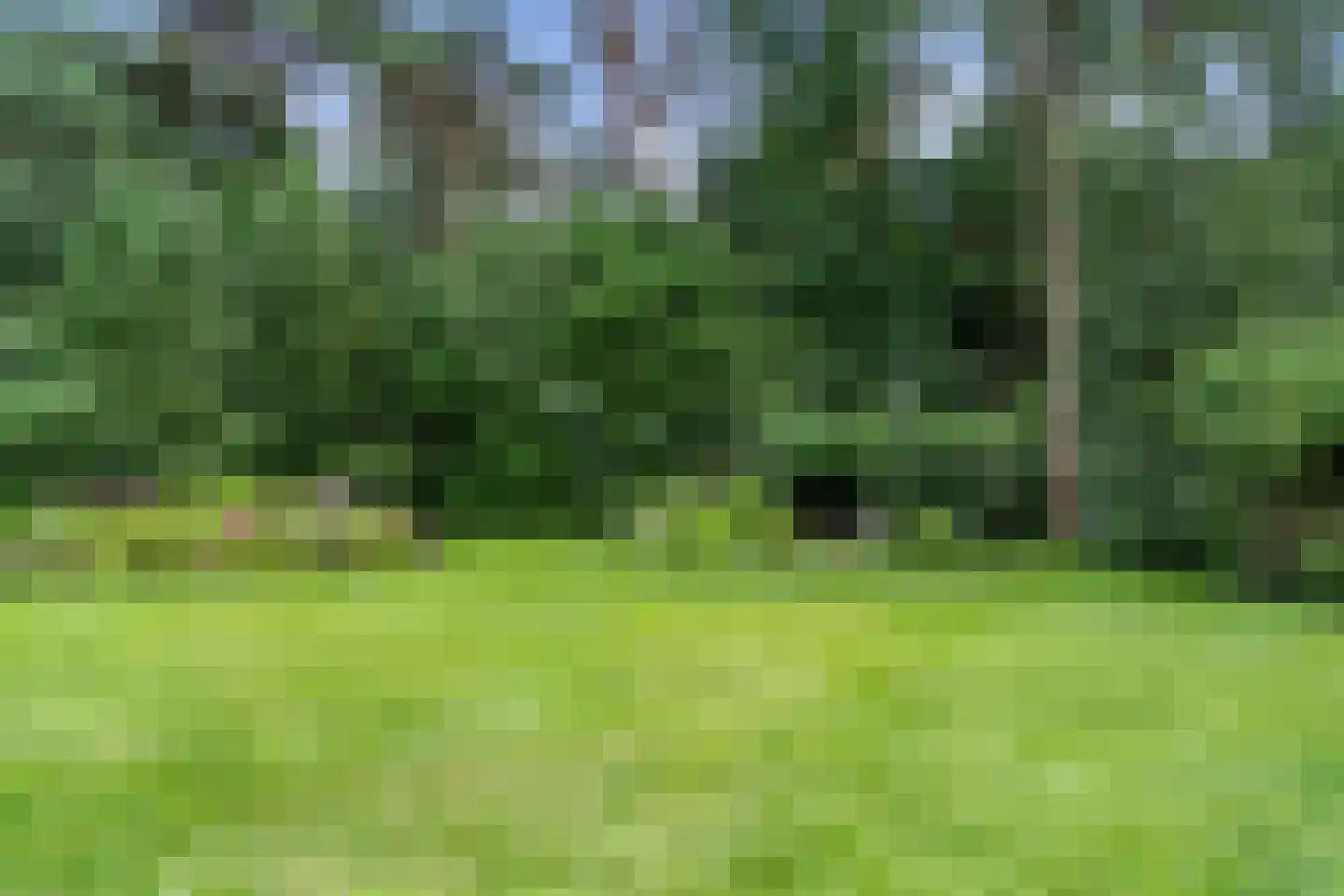 Dikkenbergweg 64 Bennekom thumbnail 41