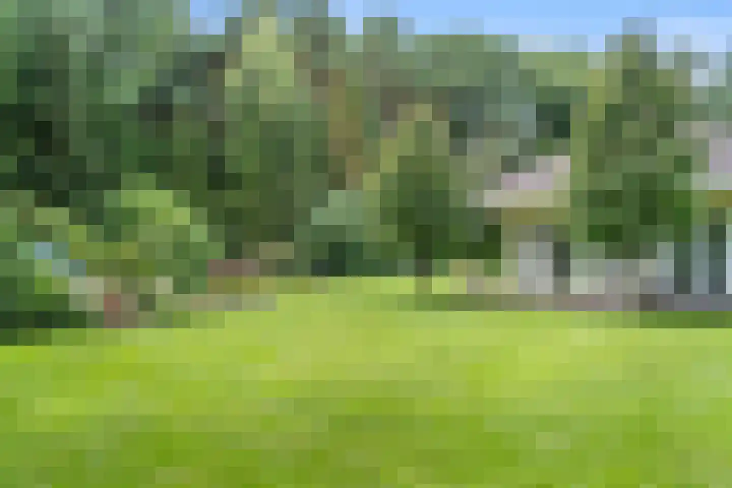 Dikkenbergweg 64 Bennekom thumbnail 42