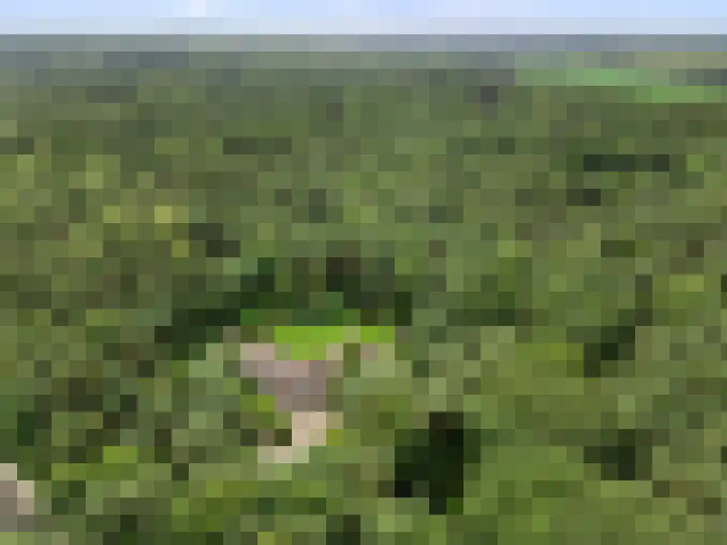 Dikkenbergweg 64 Bennekom thumbnail 6