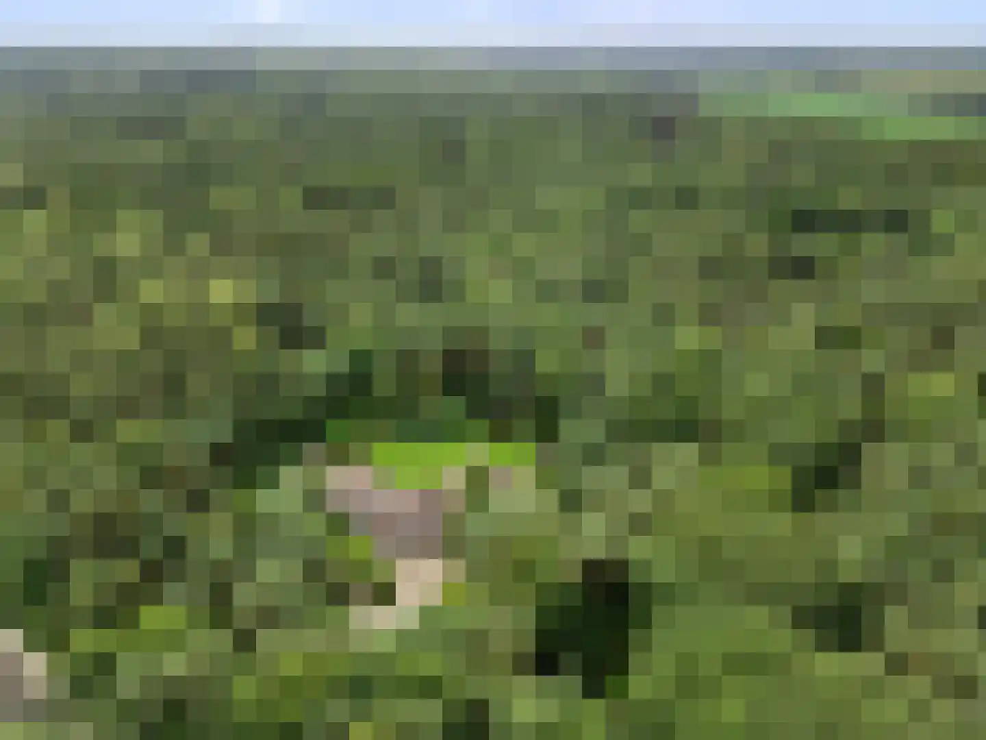 Dikkenbergweg 64 Bennekom thumbnail 6