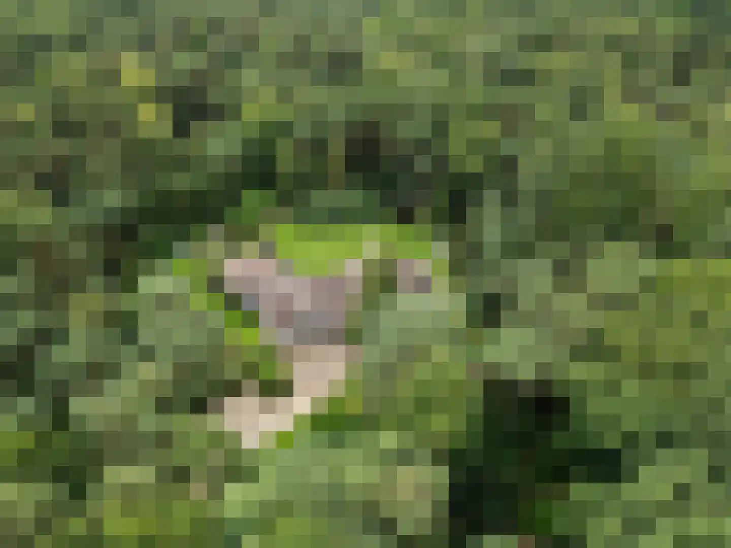 Dikkenbergweg 64 Bennekom thumbnail 7