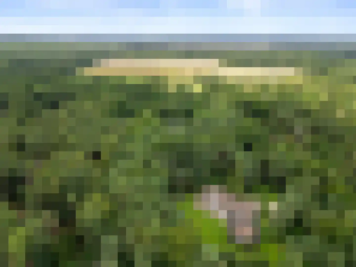 Dikkenbergweg 64 Bennekom thumbnail 8