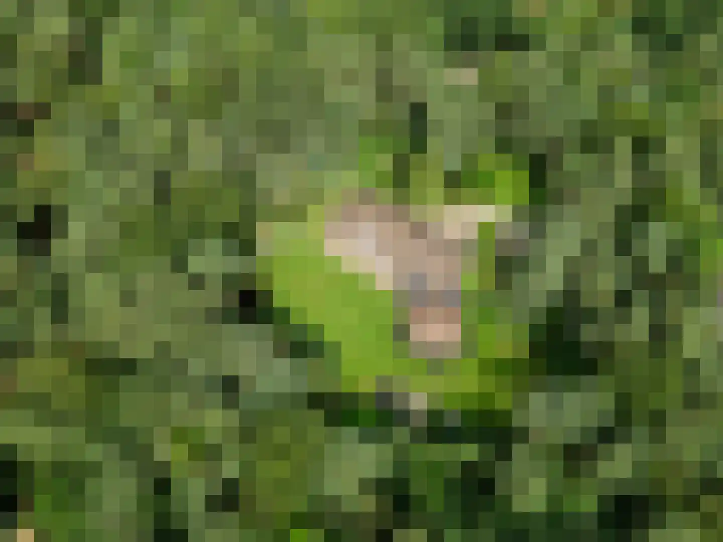 Dikkenbergweg 64 Bennekom thumbnail 9