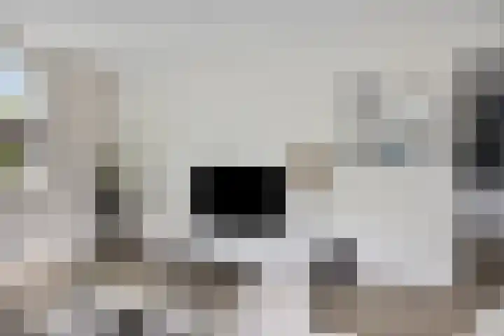 Dikkerslaan 14 Borne thumbnail 10
