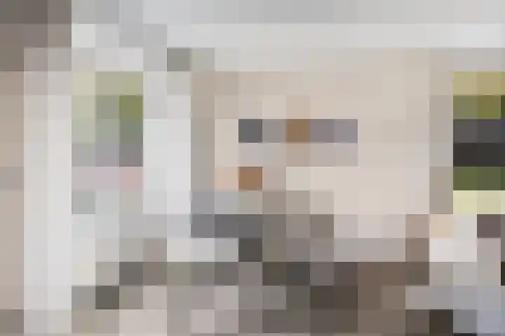 Dikkerslaan 14 Borne thumbnail 13
