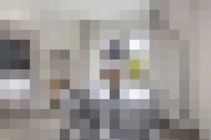 Dikkerslaan 14 Borne thumbnail 14